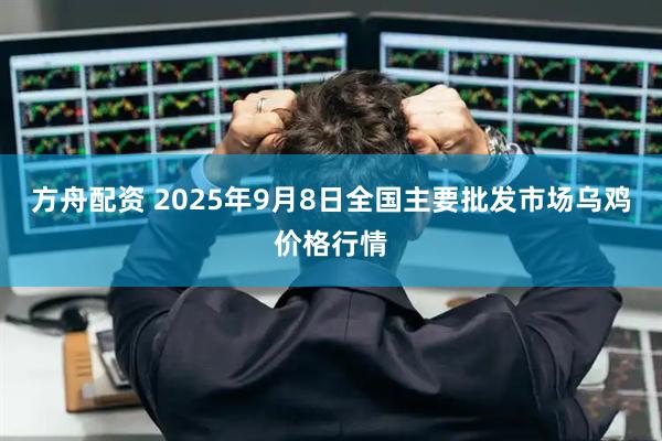 方舟配资 2025年9月8日全国主要批发市场乌鸡价格行情