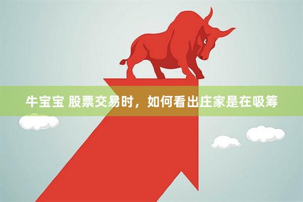 牛宝宝 股票交易时，如何看出庄家是在吸筹