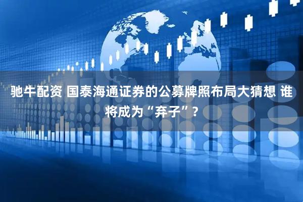 驰牛配资 国泰海通证券的公募牌照布局大猜想 谁将成为“弃子”？