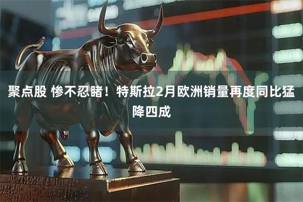 聚点股 惨不忍睹！特斯拉2月欧洲销量再度同比猛降四成