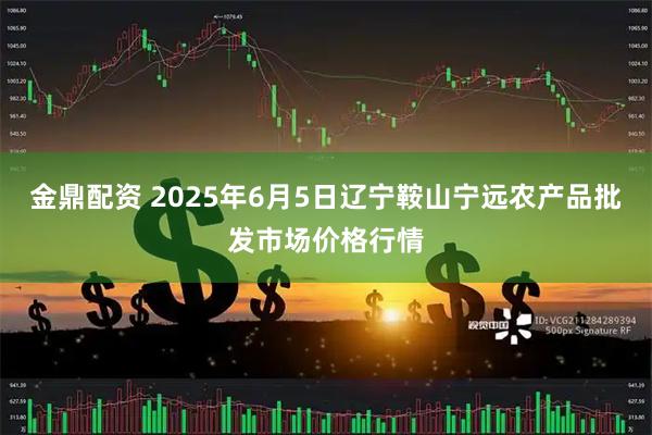 金鼎配资 2025年6月5日辽宁鞍山宁远农产品批发市场价格行情
