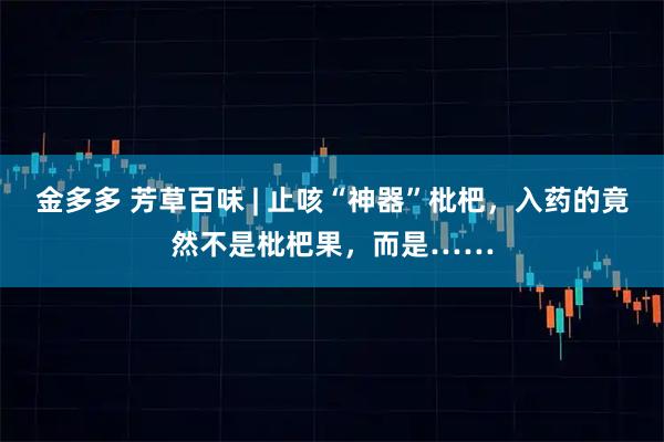 金多多 芳草百味 | 止咳“神器”枇杷，入药的竟然不是枇杷果，而是……