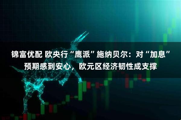 锦富优配 欧央行“鹰派”施纳贝尔：对“加息”预期感到安心，欧元区经济韧性成支撑