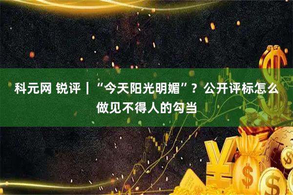 科元网 锐评｜“今天阳光明媚”？公开评标怎么做见不得人的勾当