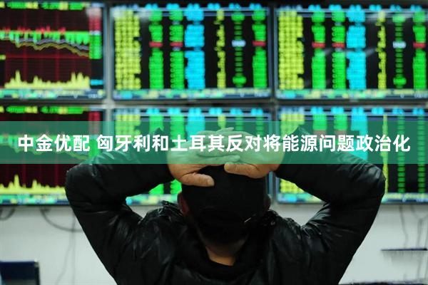 中金优配 匈牙利和土耳其反对将能源问题政治化