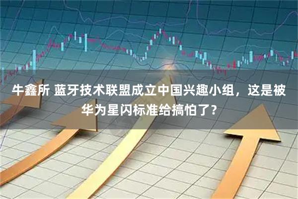 牛鑫所 蓝牙技术联盟成立中国兴趣小组，这是被华为星闪标准给搞怕了？