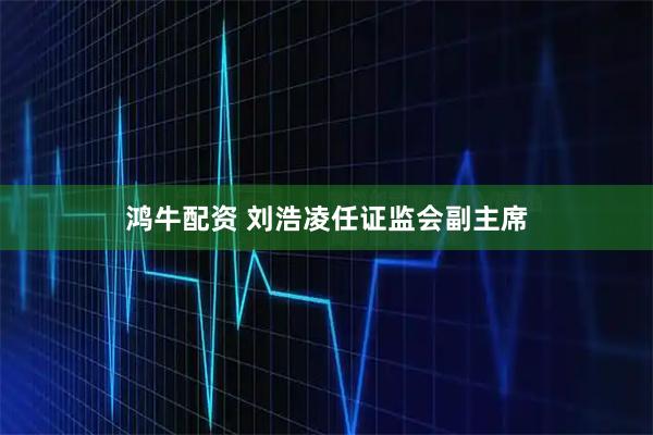 鸿牛配资 刘浩凌任证监会副主席